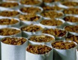 В Полоцком районе изъяли 76 тыс. пачек сигарет «Премьер»